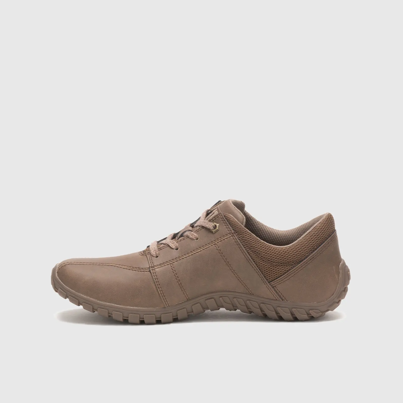 CAT GUS DARK BEIGE CT172 - Image 3