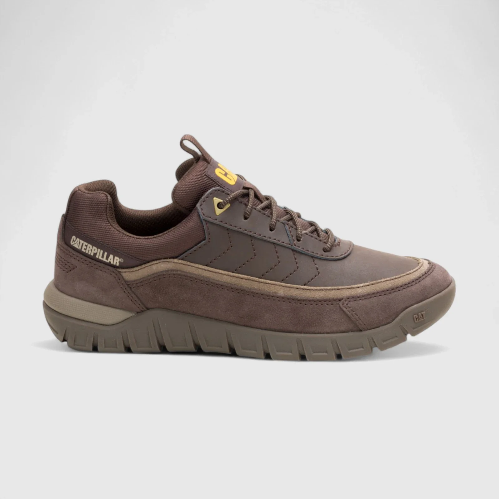 Cat Men's Versace Lo P726428 Coffee Bean CT341